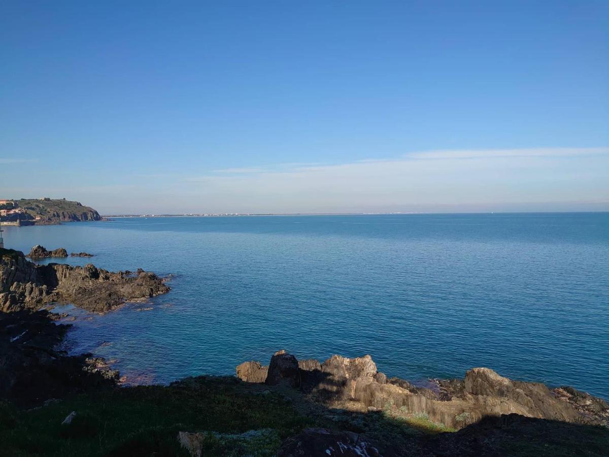 4Rb4 Appartement Type T2 Bord De Mer Acces Plage Direct Collioure Esterno foto