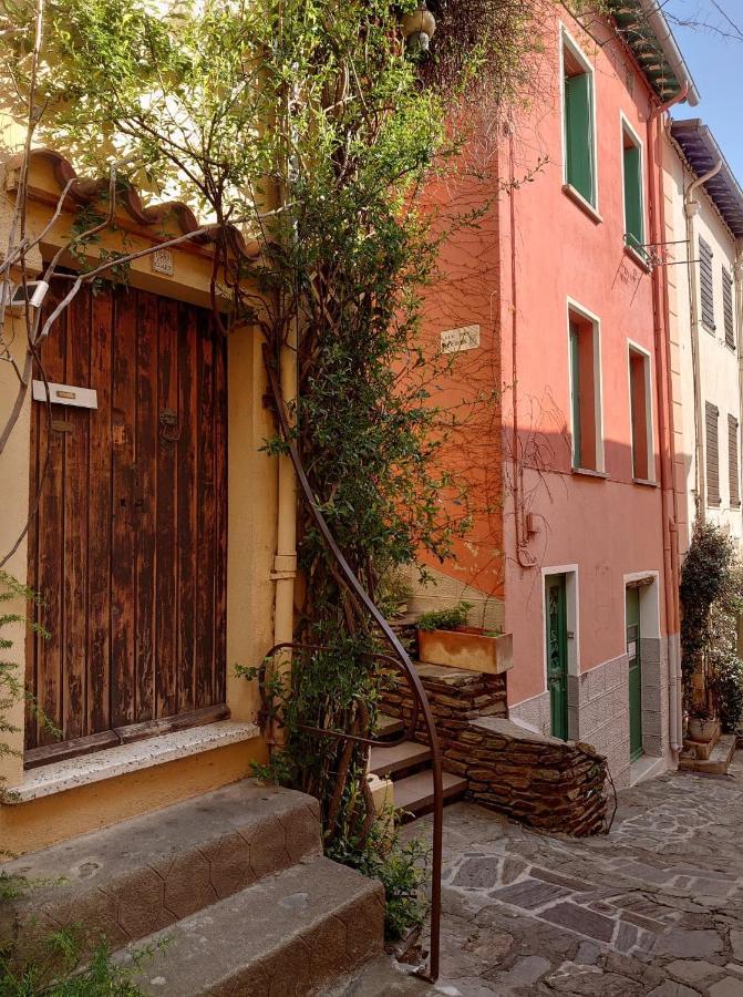 4Rb4 Appartement Type T2 Bord De Mer Acces Plage Direct Collioure Esterno foto