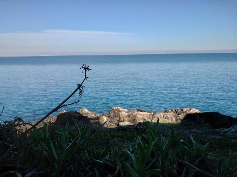 4Rb4 Appartement Type T2 Bord De Mer Acces Plage Direct Collioure Esterno foto