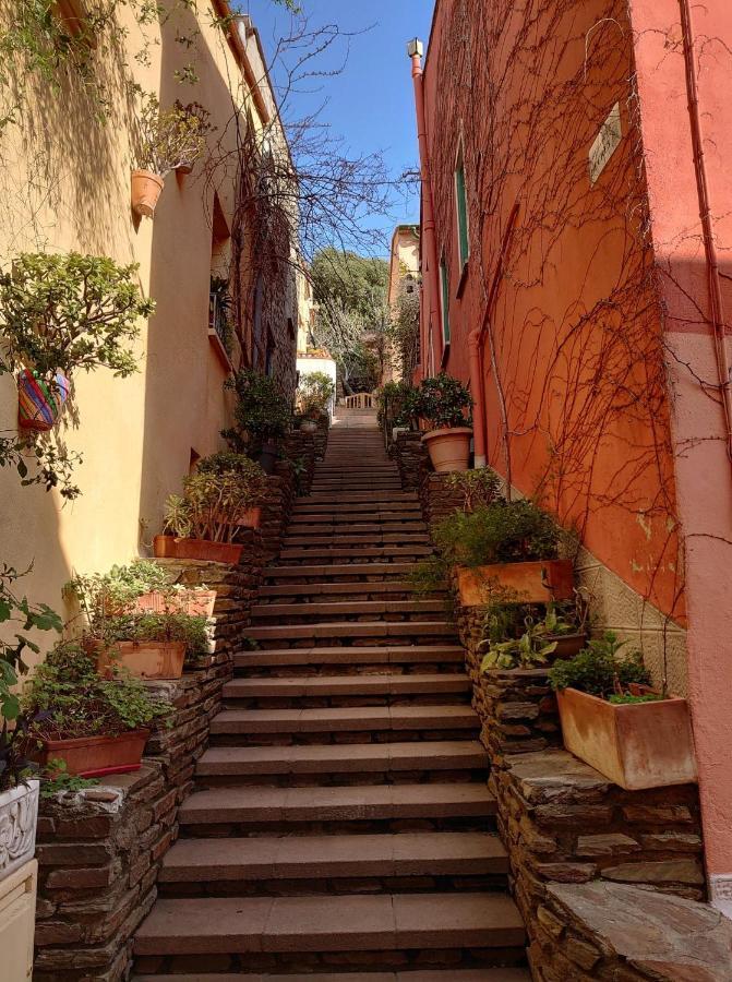 4Rb4 Appartement Type T2 Bord De Mer Acces Plage Direct Collioure Esterno foto